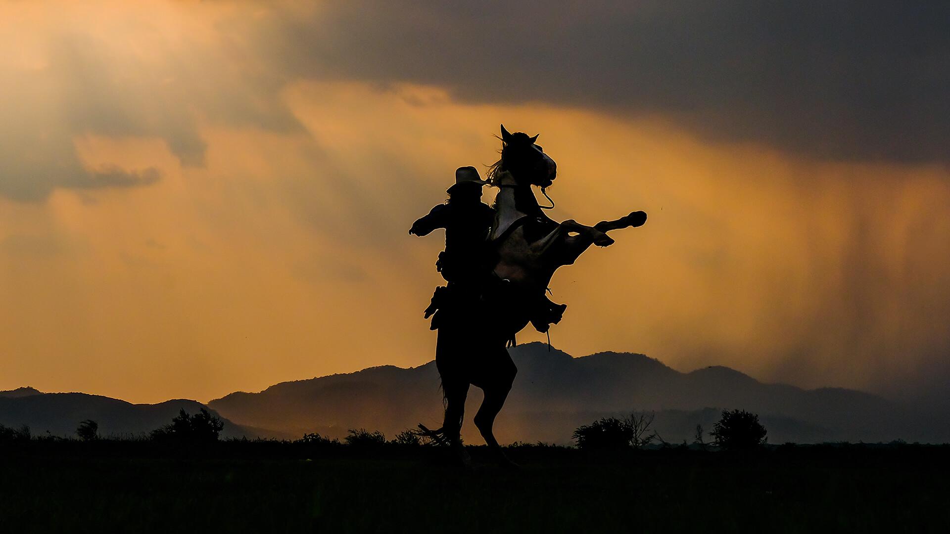 Videos with no sidebar