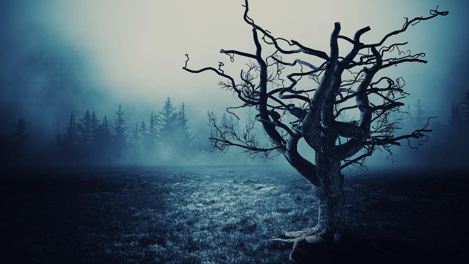 Videos with no sidebar